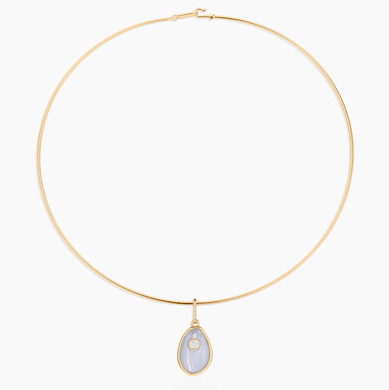 Cowrie Blue Lace Shell - Image 4