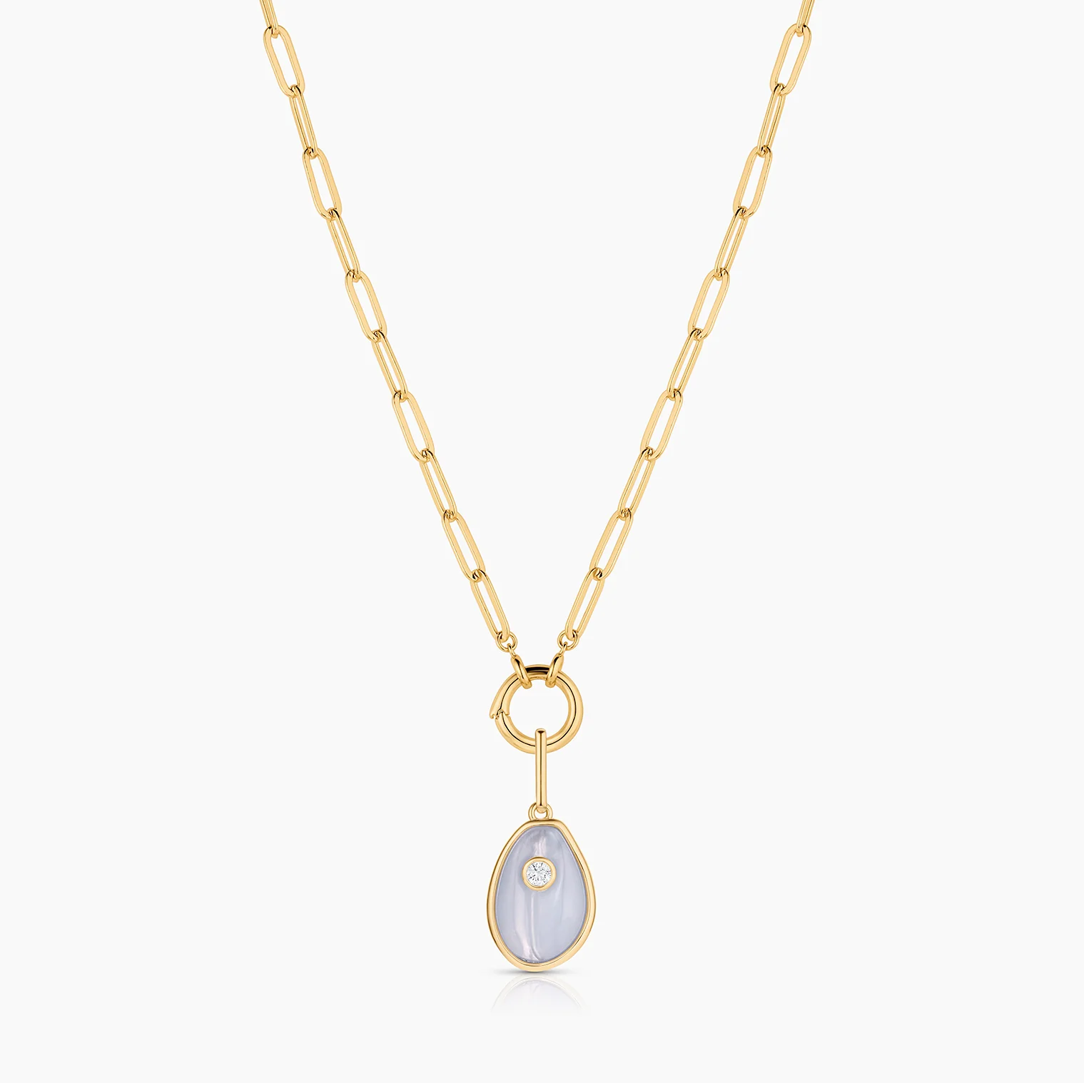 Cowrie Blue Lace Shell - Image 5