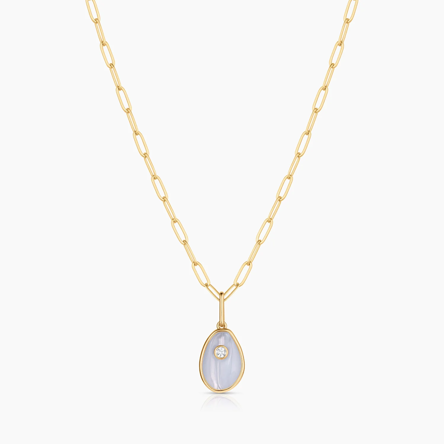 Cowrie Blue Lace Shell - Image 7