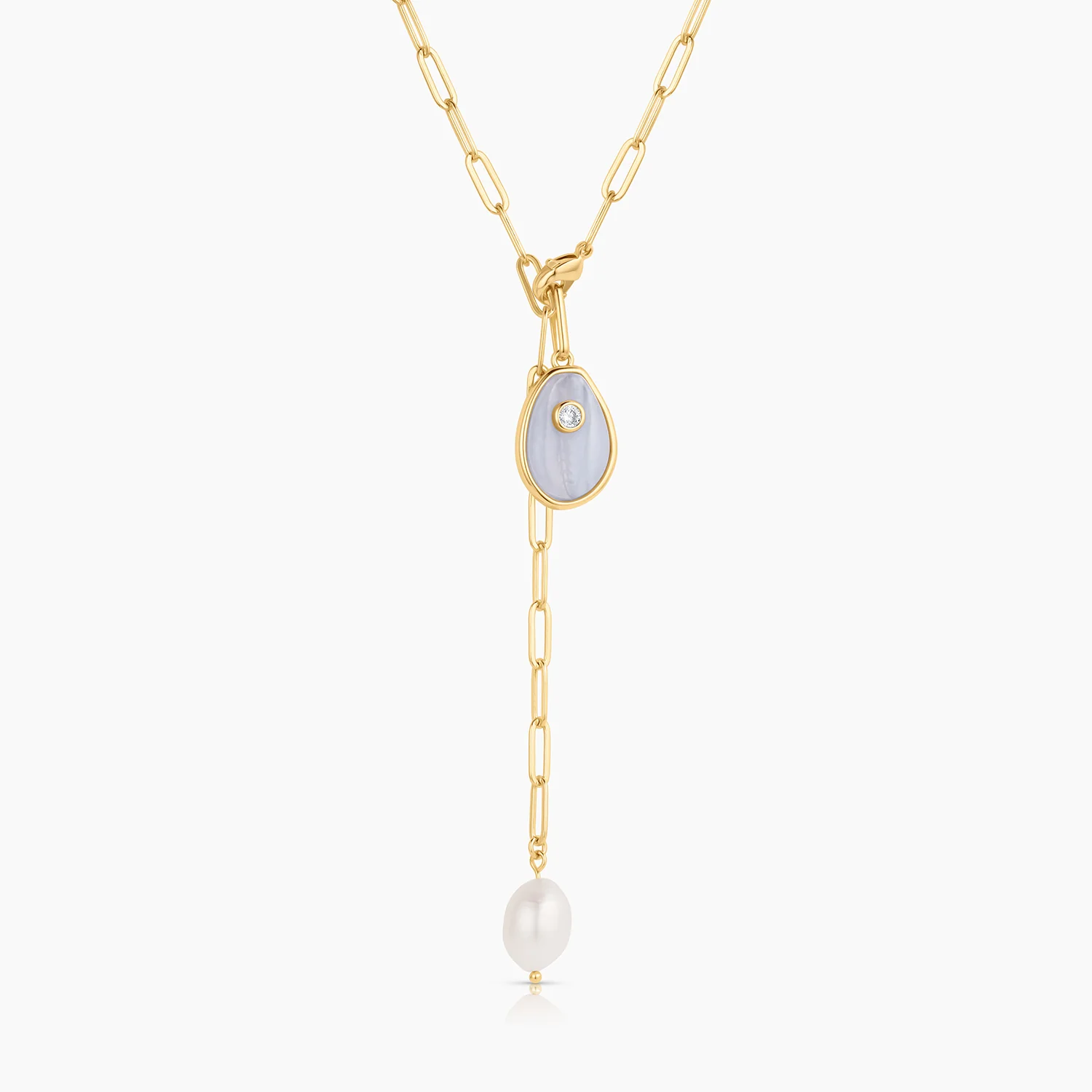Cowrie Blue Lace Shell - Image 8