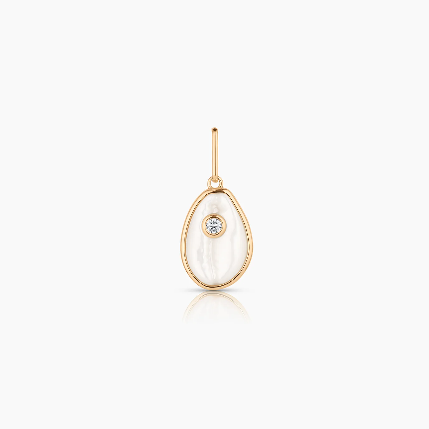 Cowrie Mother Of Pearl Shell