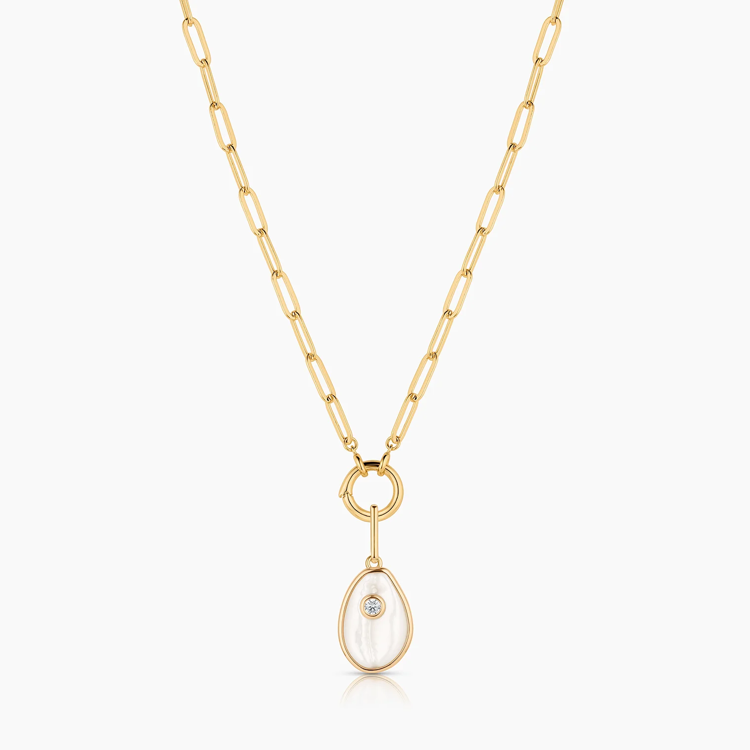 Cowrie Mother Of Pearl Shell - Image 3