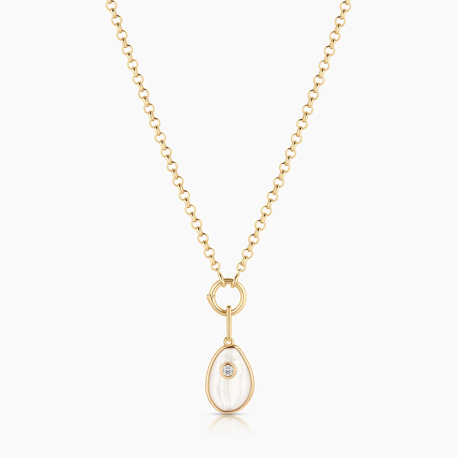 Cowrie Mother Of Pearl Shell - Image 4