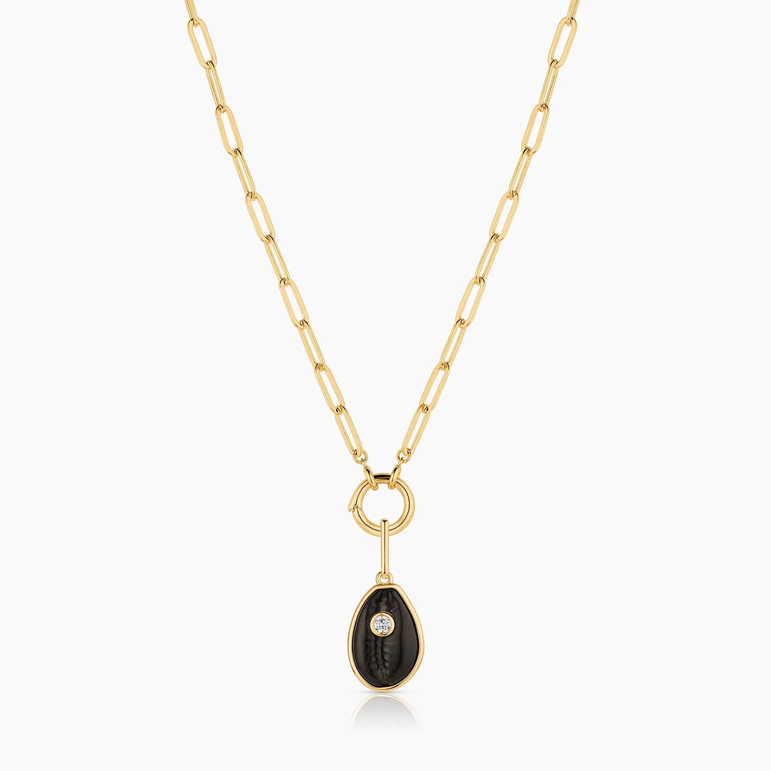 Cowrie Onyx Shell - Image 4