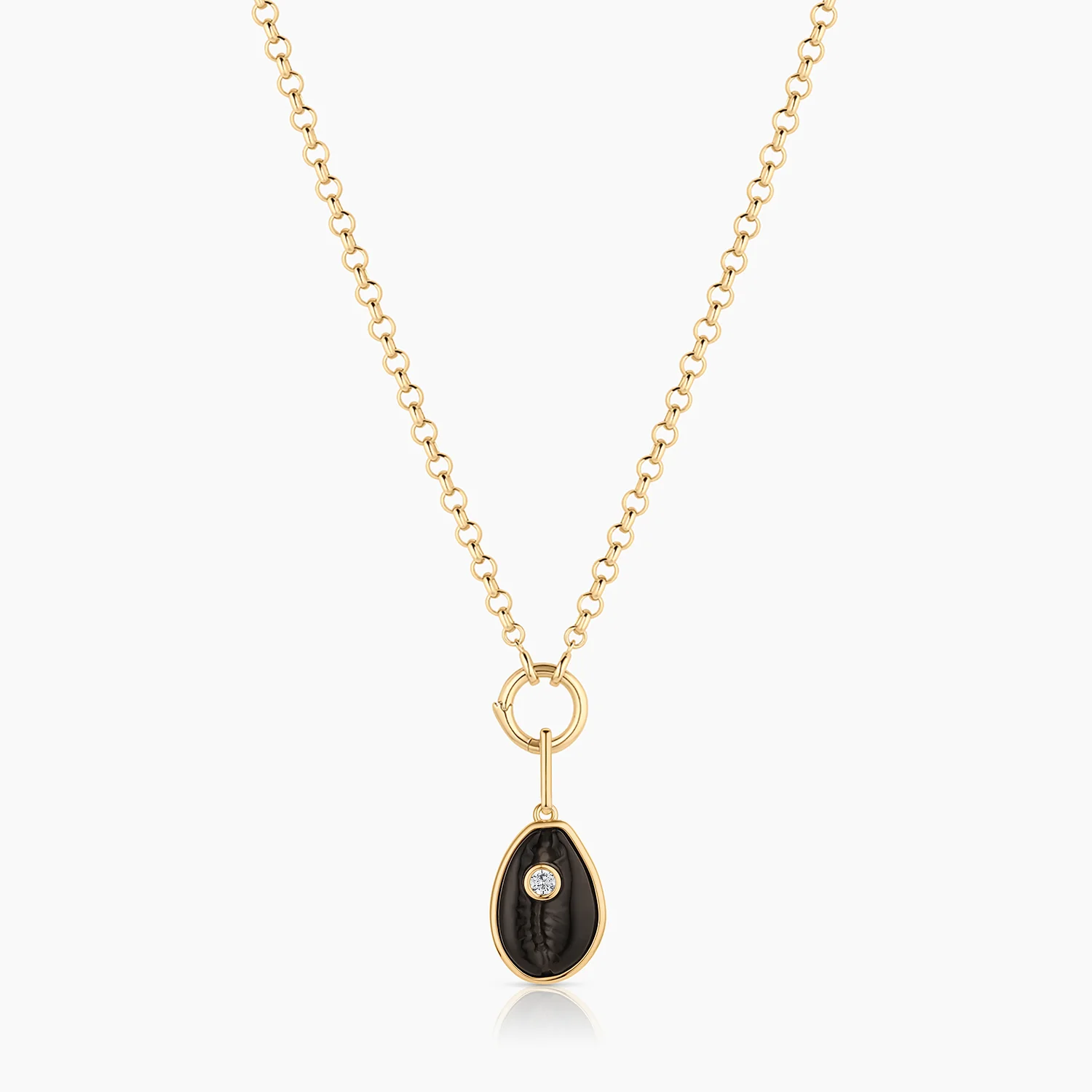 Cowrie Onyx Shell - Image 9