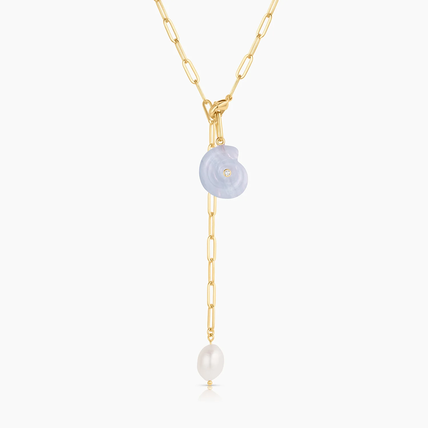 Nautilus Blue Lace Spiral Shell - Image 3