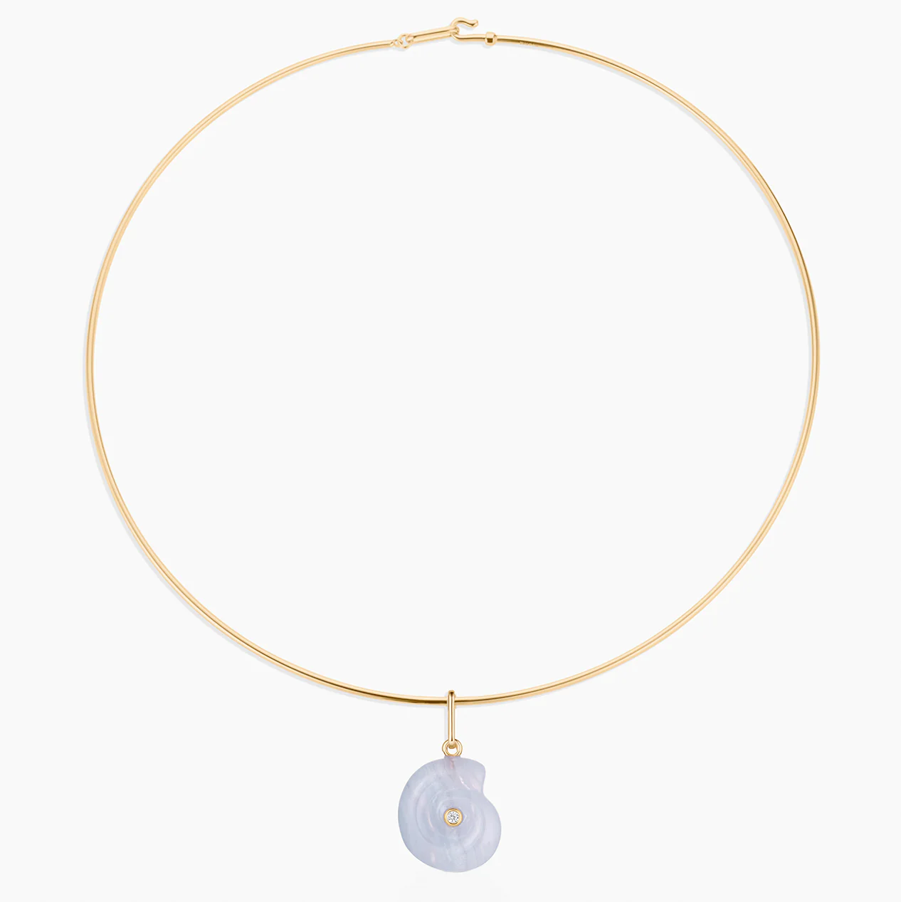 Nautilus Blue Lace Spiral Shell - Image 5
