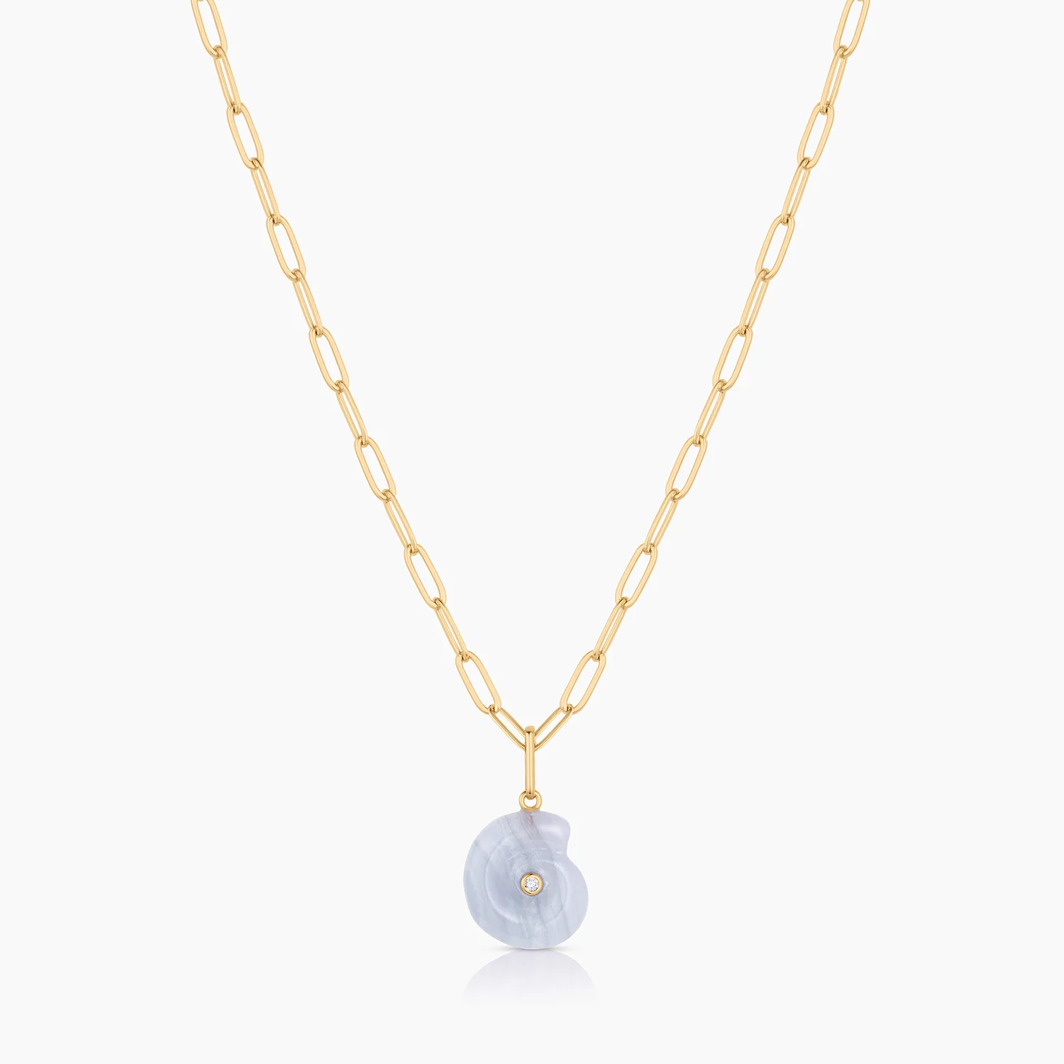 Nautilus Blue Lace Spiral Shell - Image 6