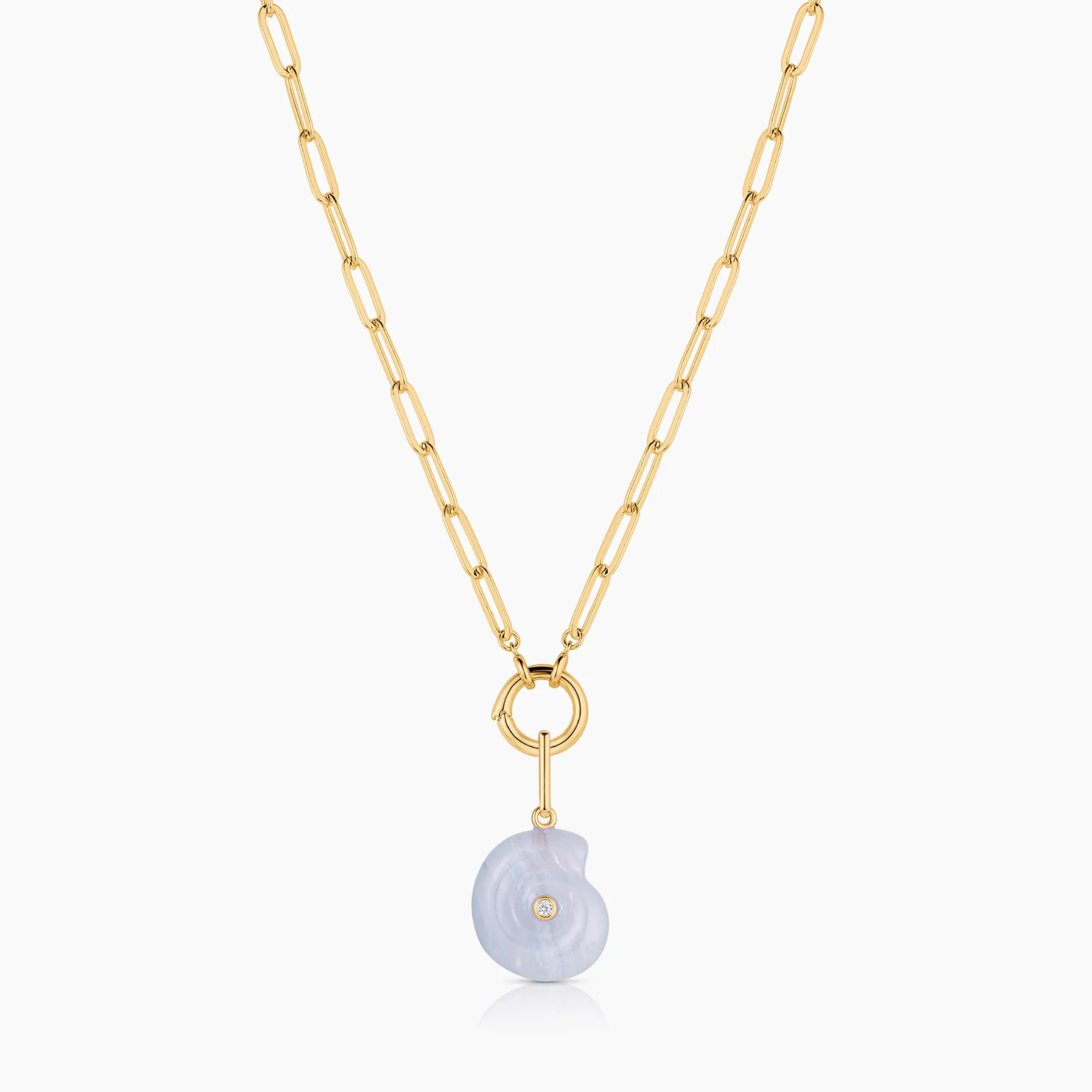 Nautilus Blue Lace Spiral Shell - Image 7