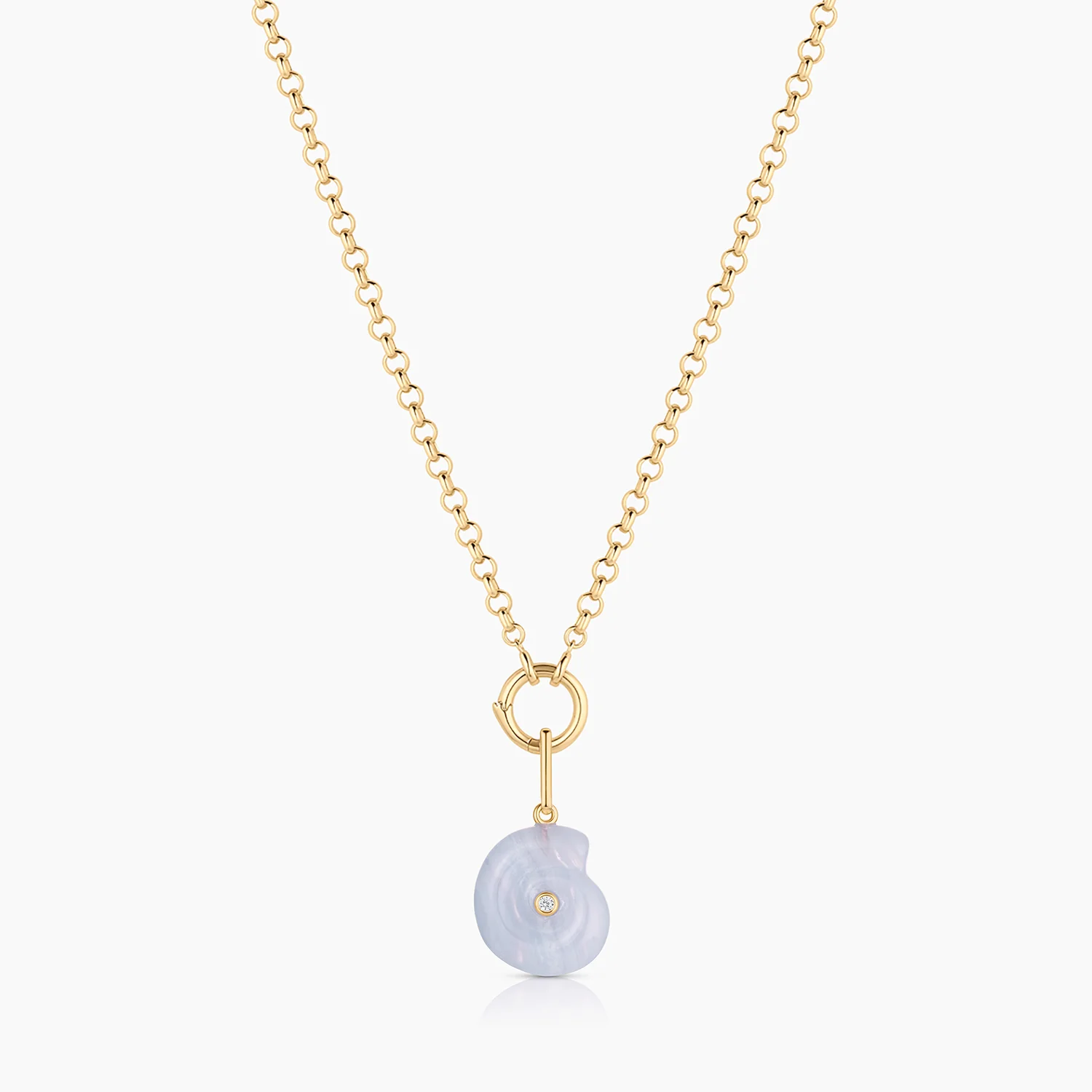 Nautilus Blue Lace Spiral Shell - Image 8