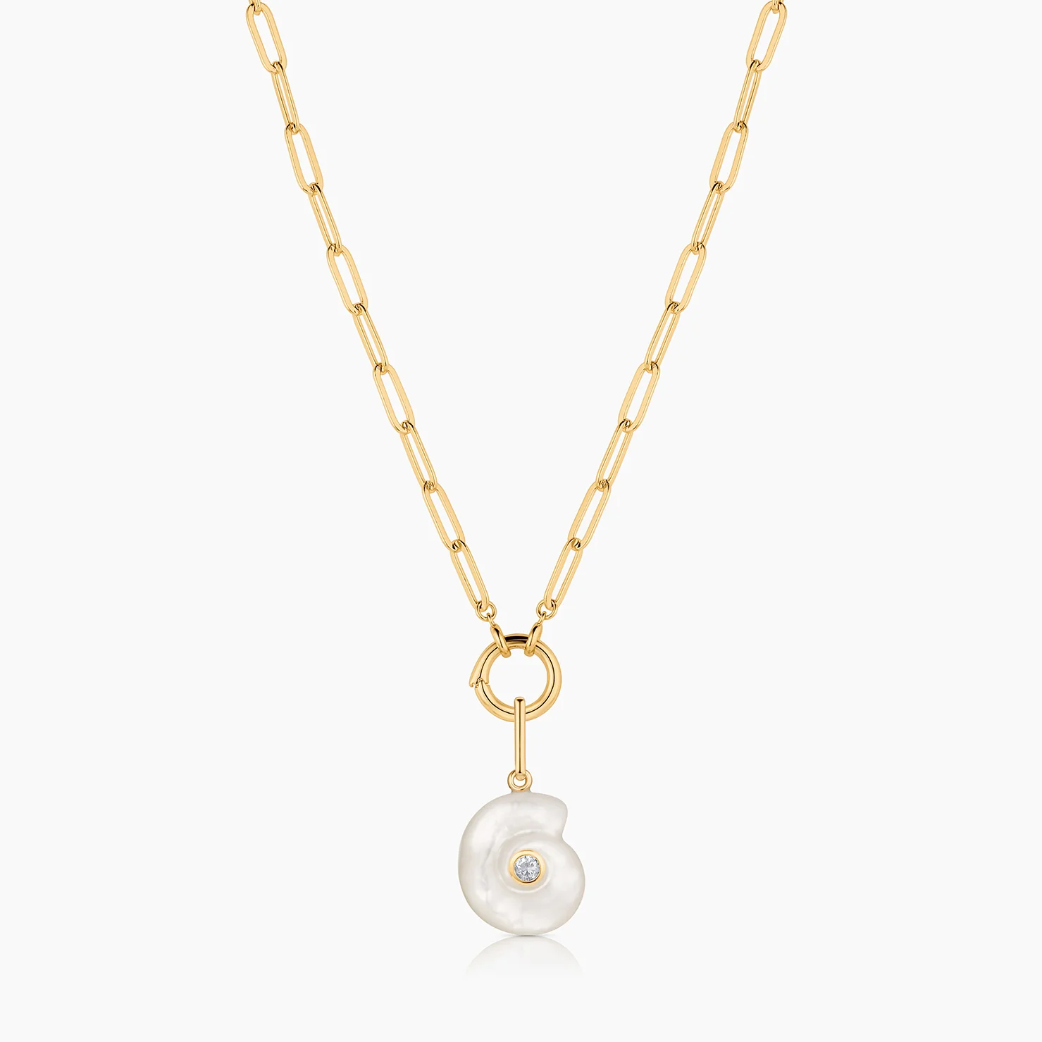 Nautilus Mother Of Pearl Spiral Shell - Image 5