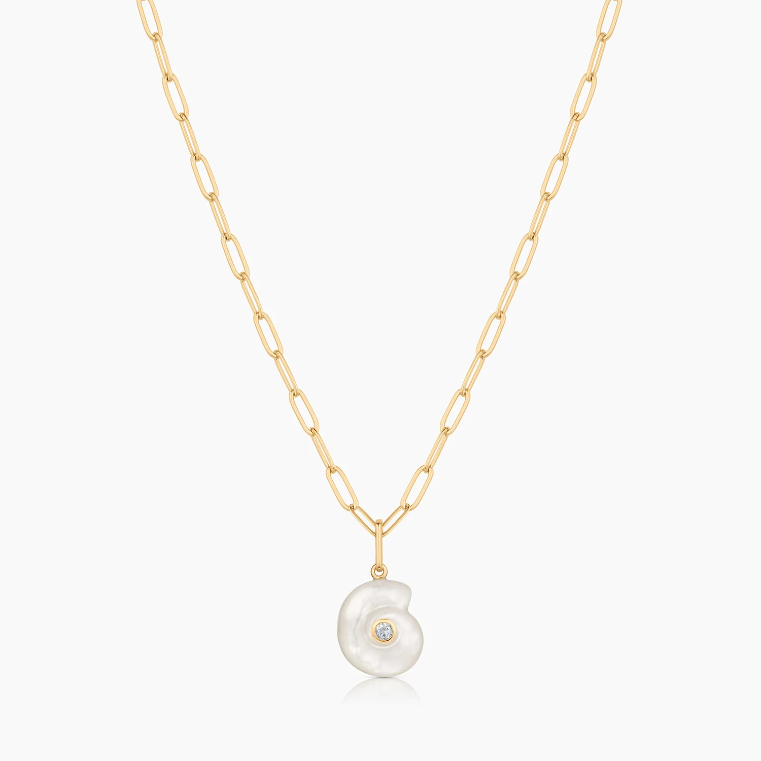 Nautilus Mother Of Pearl Spiral Shell - Image 6
