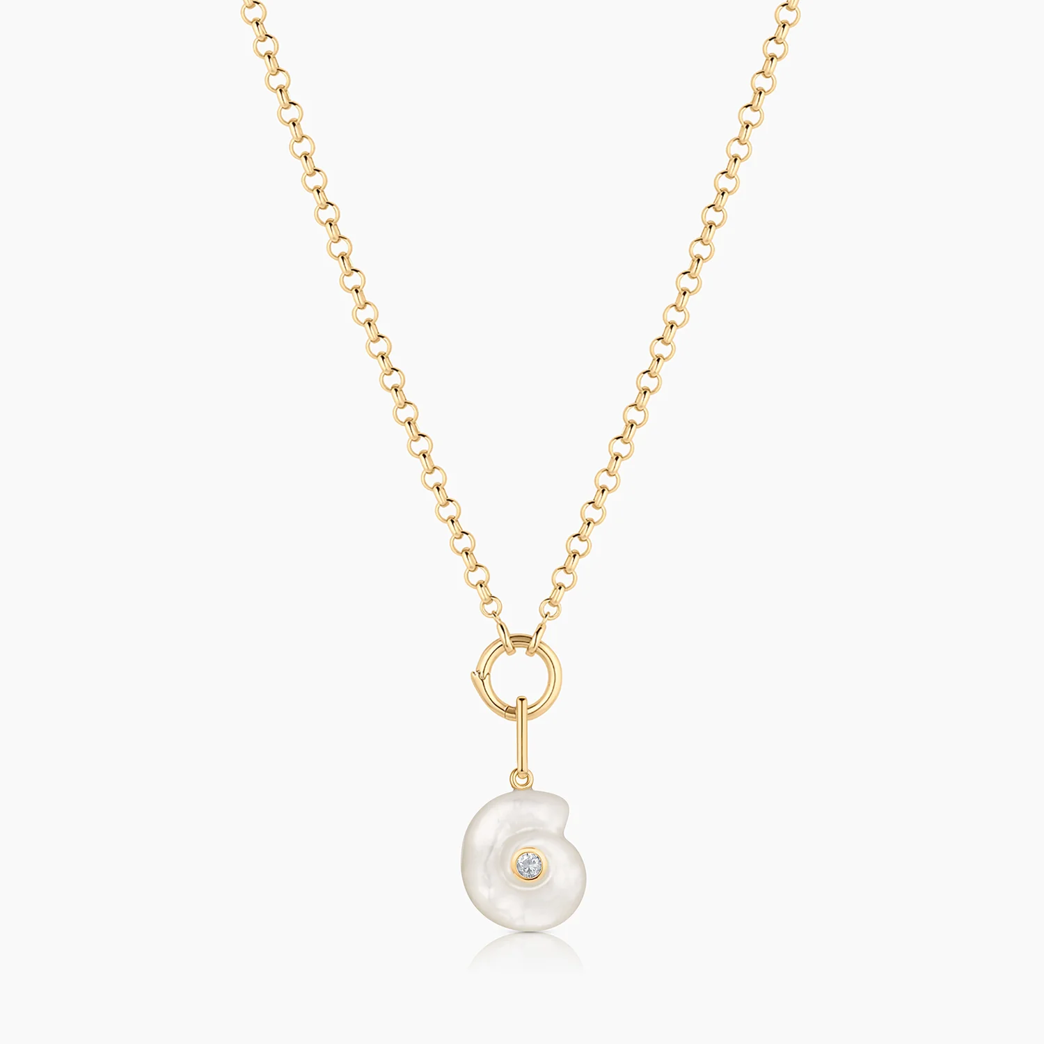 Nautilus Mother Of Pearl Spiral Shell - Image 9