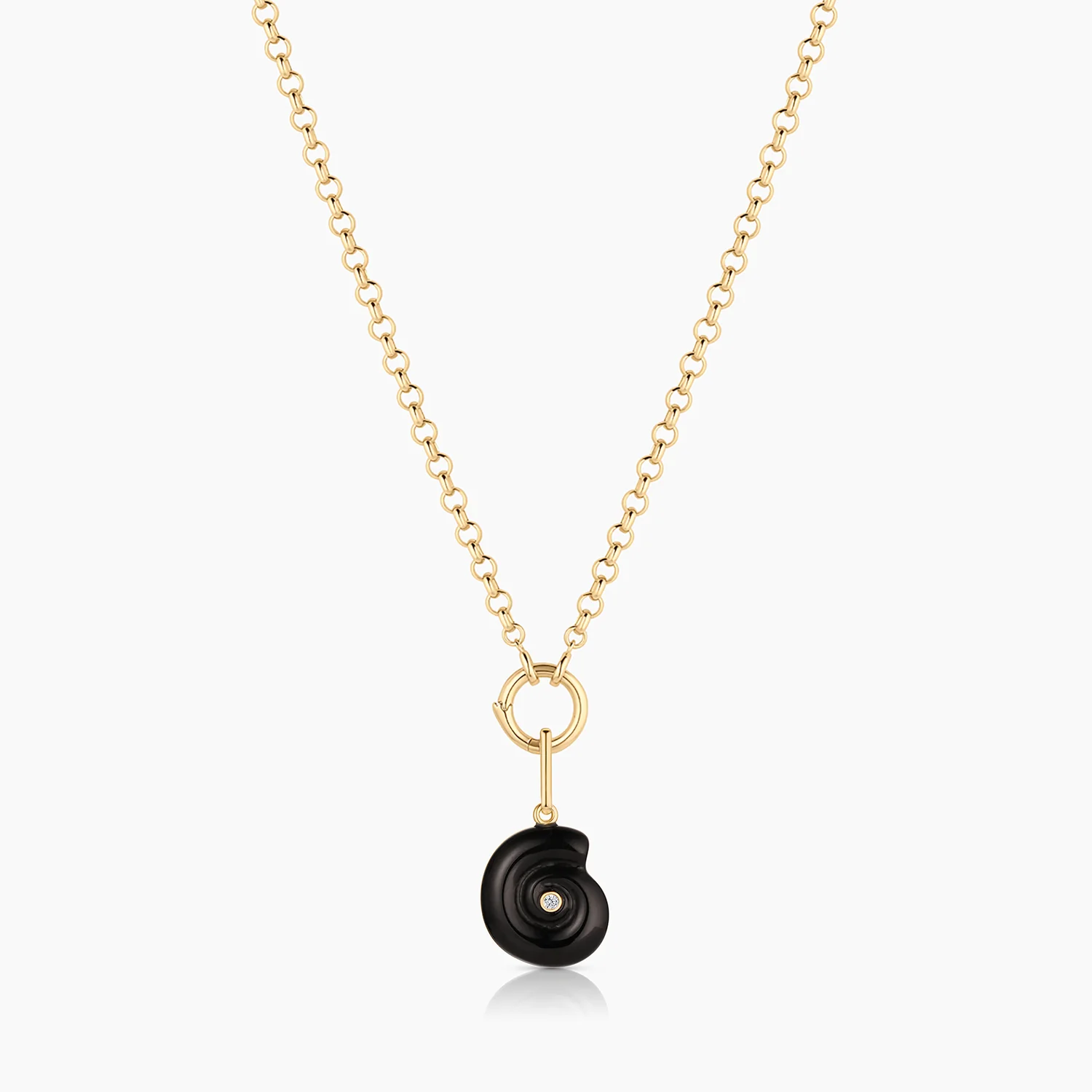 Nautilus Onyx Spiral Shell - Image 7